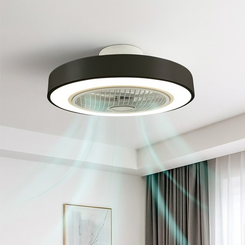 Ceiling fan light - ceiling,