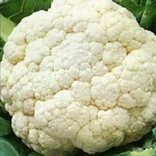 CAULIFLOWER GIANT XXL 5kg EXHIBITION QUALITY SEED 50 FRESH 2025