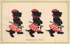 Mollie Willing Scotland