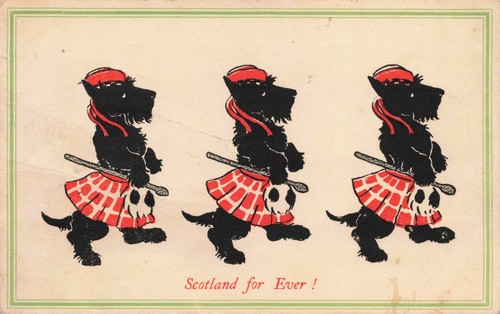 Mollie willing scotland - willing,