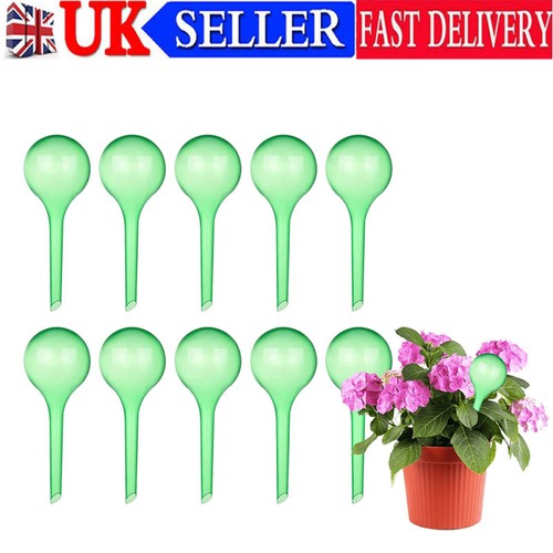 Plant self watering - plant, clear