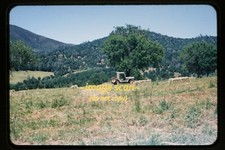 Ex Army Willys Jeep at a Ranch