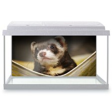 Fish Tank Background 90x45cm -