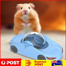 Hamster Running Ball Hamster
