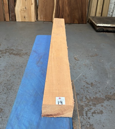 Khaya mahogany bass guitar - khaya,