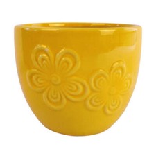 Flower Embossed Indoor Plant