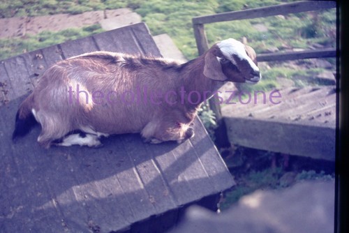 35mm slide 1976 - , uk