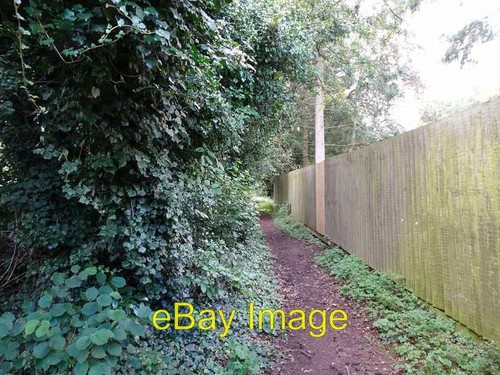 Photo 6x4 golf side path - golf,