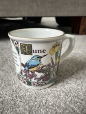 Royal Worcester The Months Of The Year Sue Scullard 1992 June Porcelain Mug