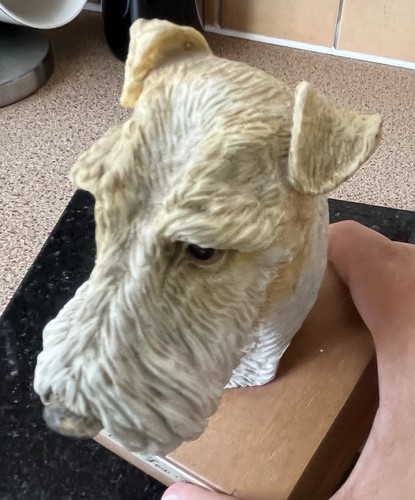 Wire fox terrier head mounted - wire,