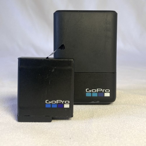 Genuine gopro dual battery - genuine,