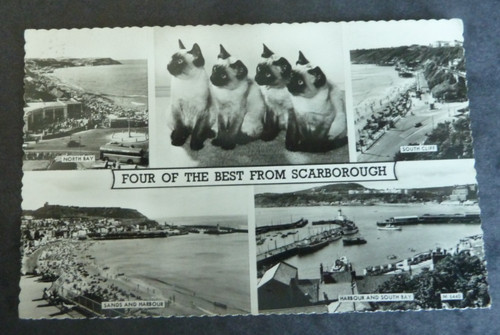 Scarborough vintage postcard - scarborough,