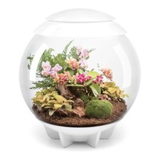 BIORB AIR 60L WHITE TERRARIUM