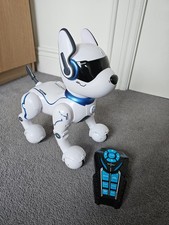 Ziggy the Robo Dog. Never played with. Used only a couple of times.