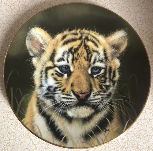 Princeton gallery cubs - cubs, the