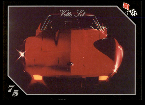 1975 corvette sport coupe - 1975,