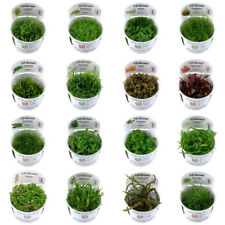 Tropica Live Aquarium Plants