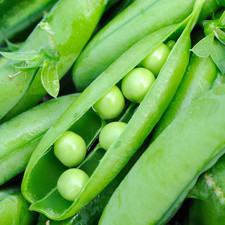 Douce de Provence pea - 250 Seeds - Plastic Free Packaging