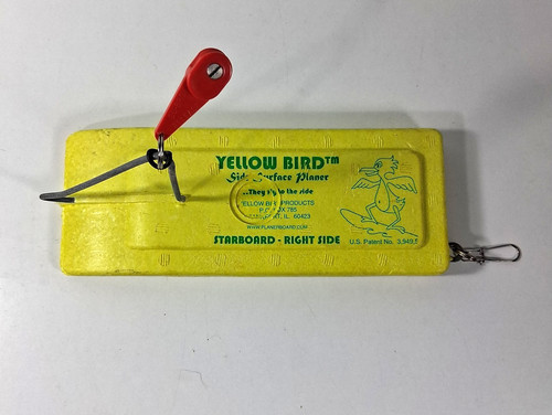 Yellow bird side surface - bird,