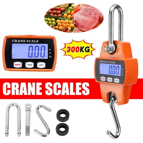 300kg mini crane scale - mini,