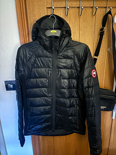 Canada goose hybridge - canada, lite
