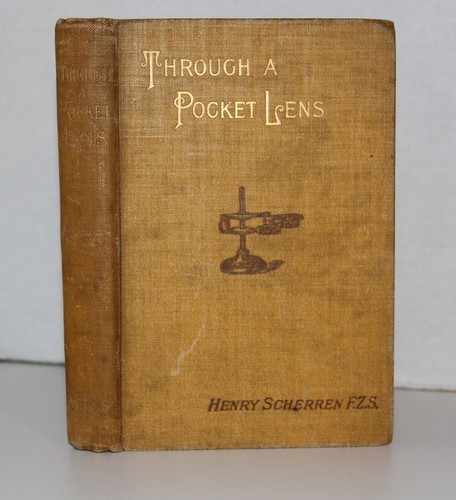 Insects henry scherren - insects,