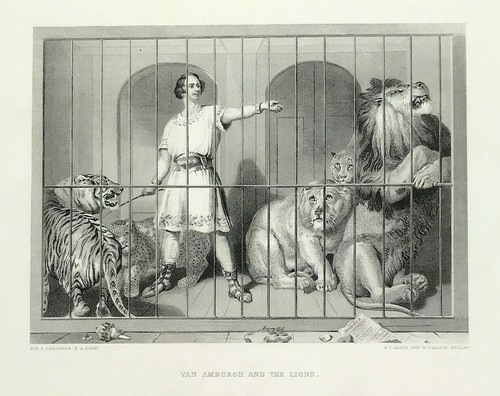 Edwin landseer van amburgh - van,