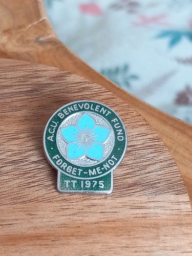 Small enamel pin badge 1975 - badge,