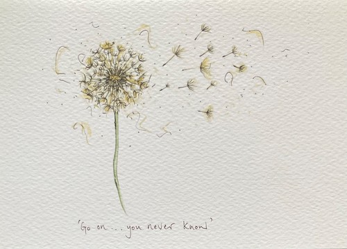 Beautiful dandelion clock - beautiful,