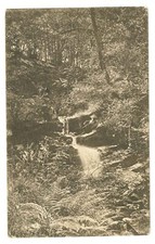 Fairy Dell, Ilkley, Yorkshire. Postcard by Procter, Ilkley. Posted 1904,