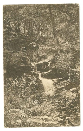 Fairy dell ilkley yorkshire - dell,,