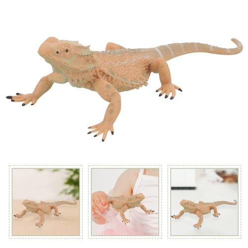 Reptile model bearded dragon - ,