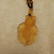 Rare Yellow Honey Coloured