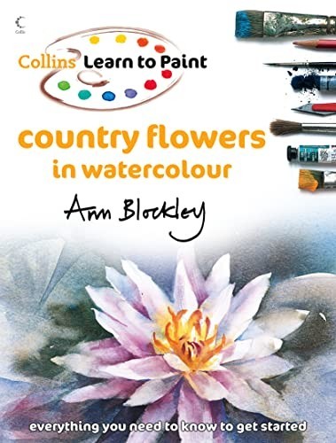 Collins learn paint - collins,