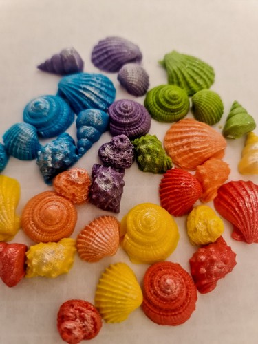 Bright sea shells - sea, cake