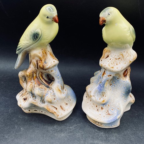Green tropical bird parrot - green,