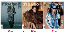 madame FIGARO China March 2023 Chinese Magazine with cover on Dylan Wang Hedi