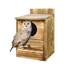 Large Wood Bird House Owl