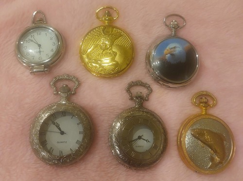Pocket watch collection - pocket, need