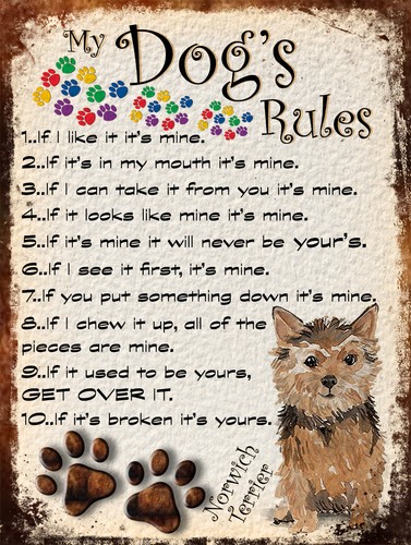 Dog rules retro style - rules,