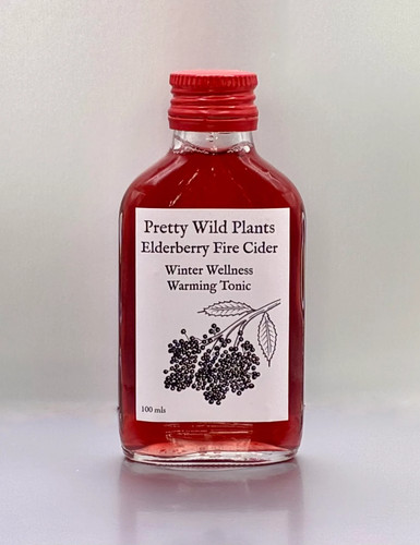 Elderberry fire cider - elderberry,