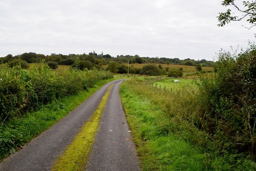 Photo 6x4 manse road - photo, carony