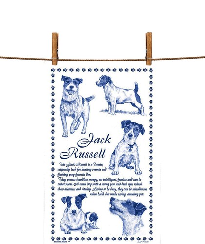 Jack russell white - russell,
