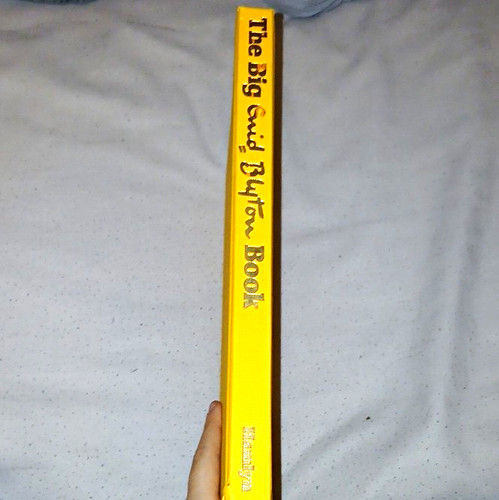 Enid blyton the - the,