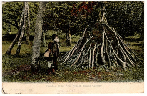 Early stuart post - stuart,