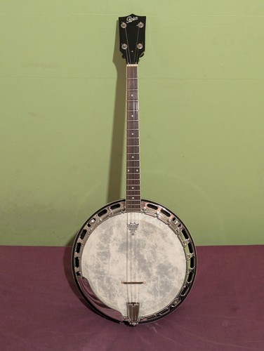 Rover fret archtop irish - rover,