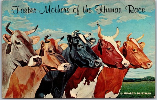 Foster mothers the human - mothers, of