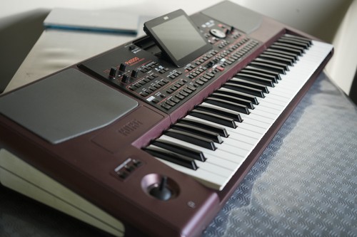 Korg 1000 key - korg, 61-key