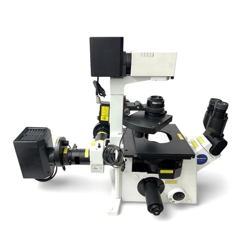 Olympus ix81 fluorescence - olympus,