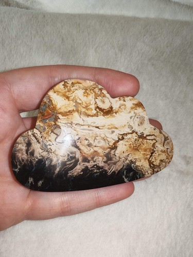 Agatized petrified - ☁️✨,